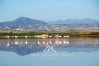 The Salt Lake is an enchanting attraction of Larnaca.